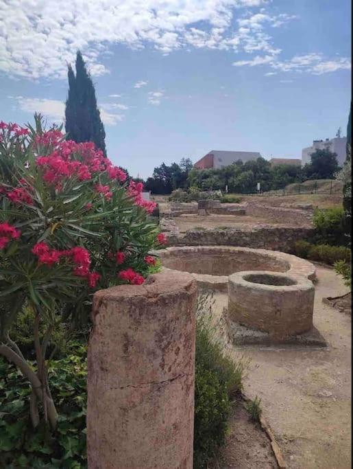 Soleil Sucre T2 Centre Historique De Narbonne Lägenhet Exteriör bild