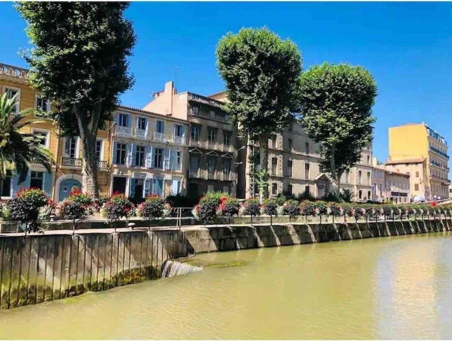 Soleil Sucre T2 Centre Historique De Narbonne Lägenhet Exteriör bild