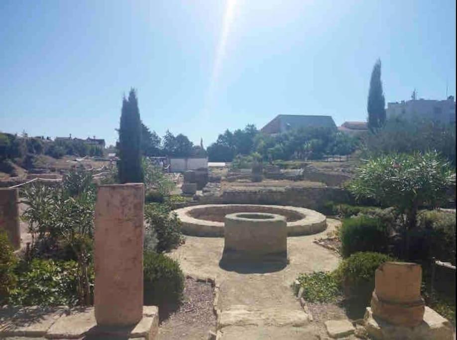 Soleil Sucre T2 Centre Historique De Narbonne Lägenhet Exteriör bild