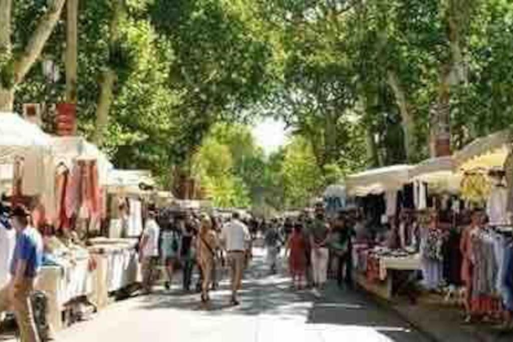 Soleil Sucre T2 Centre Historique De Narbonne Lägenhet Exteriör bild